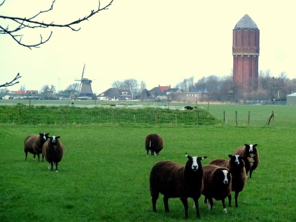 Bed En Breakfast De Pauw Wieringerwaard Room photo